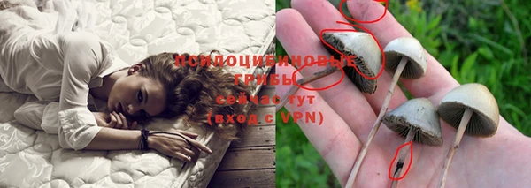 метадон Беломорск